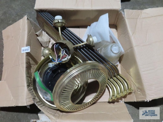Ceiling fan with light fixture