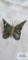 Iridescent shell butterfly pin marked HECHO EN TFX CO, approximately 4.3 G.
