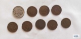 8 Indian Head pennies and 1 Buffalo nickel