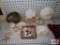 Seashells, coral, and sand dollar parts