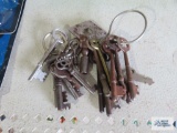 Skeleton keys