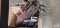 Automotive belts, sandpaper, and etc