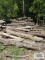 Pile of assorted wood. Pieces are approximately 10' to 12' long. Bring qualified help and equipment