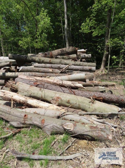 Pile of assorted wood. Pieces are approximately 10' to 12' long. Bring qualified help and equipment