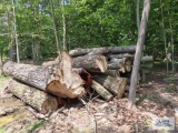 Pile of assorted wood. Pieces are approximately 10' to 12' long. Bring qualified help and equipment