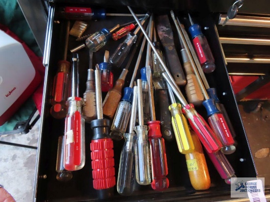 Lot of assorted screwdrivers in one drawer
