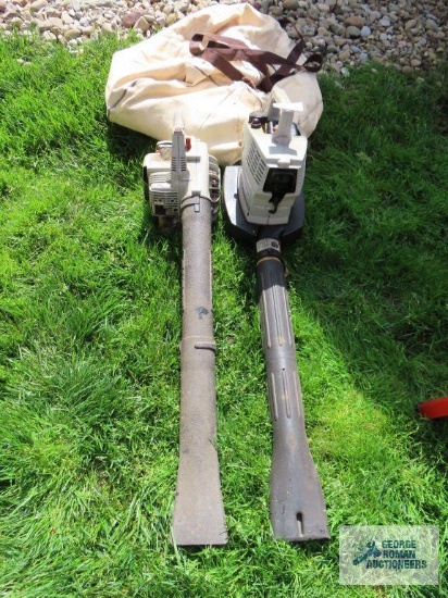 Echo blower and Ryobi blower vac with mismatch bagger