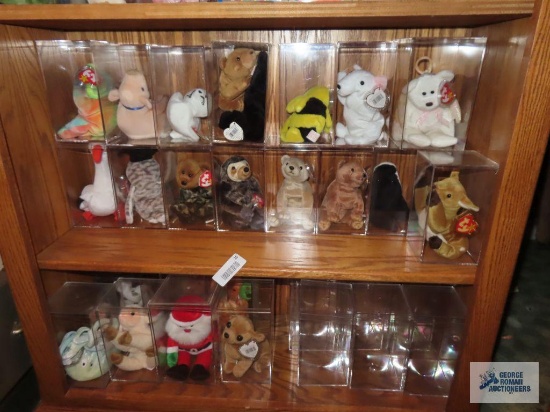 Two shelves of TY Beanie Babies in plastic cases