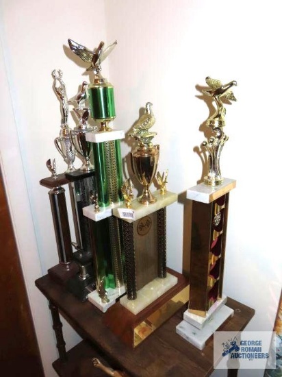 Various trophies