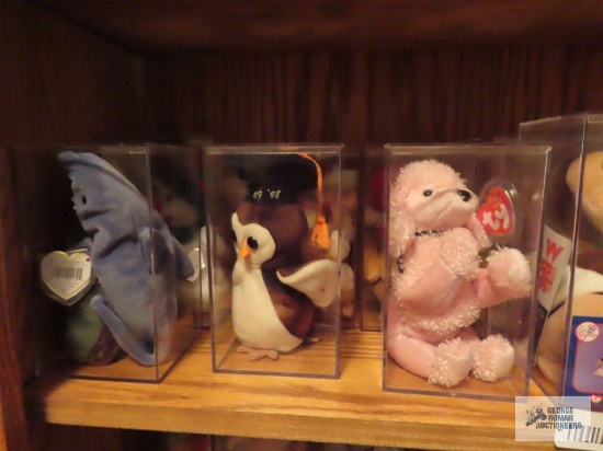 One shelf of TY Beanie Babies in plastic cases