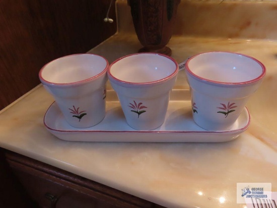 Plant set