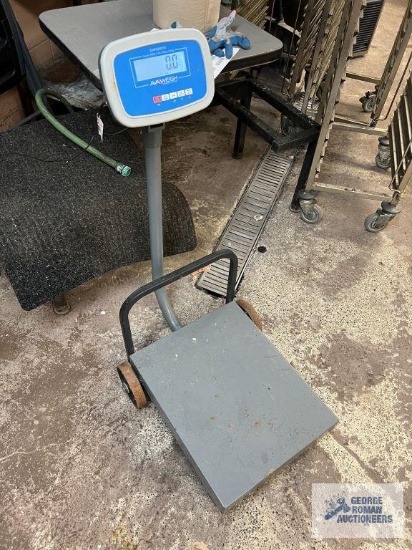 AVA weigh commercial scale. model 334fs500TW. 500 lb capacity.
