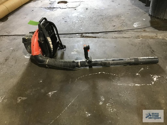 ECHO BACKPACK BLOWER