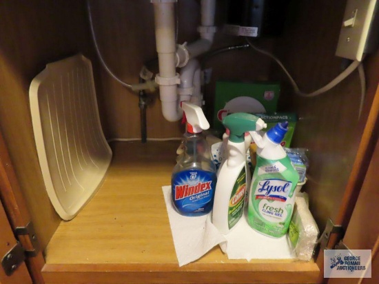 Assorted cleaning items