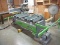 BIESSE ROVER 13 FIVE HEAD POINT TO POINT W/HORIZONTAL & VERTICAL BORING, 5