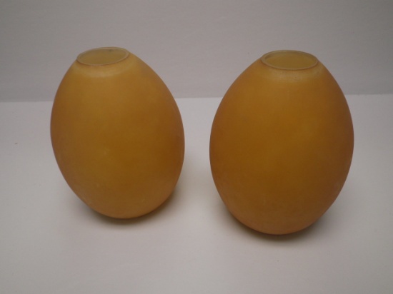 Pair lamp globes