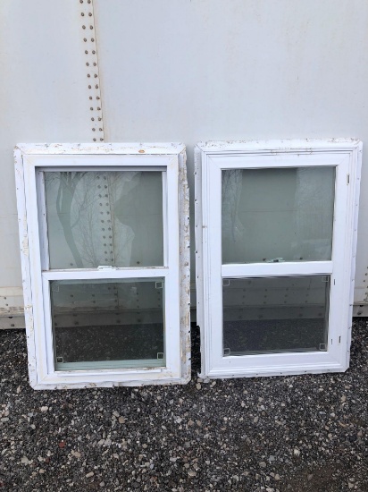 2-Vinyl Windows