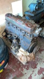 Austin Healey 6cyl. engine
