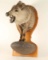 Javelina Shoulder Mount