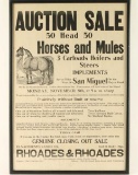 Vintage Horse Auction Poster