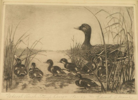 Duck Stamp & Litho