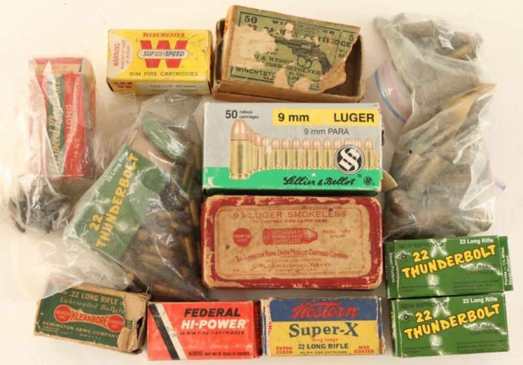 Pistol Ammo
