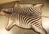 Large Zebra Rug