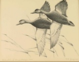 Duck Stamp & Print