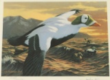 Duck Stamp & Print