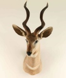 Lesser Kudu Mount