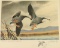 Duck Stamp & Print