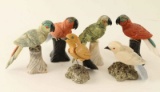 Bird Lover's Lot