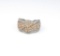 Stylish Braided Design Diamond Ring