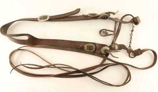 Fred Mueller Headstall