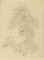 Fine Art Etching