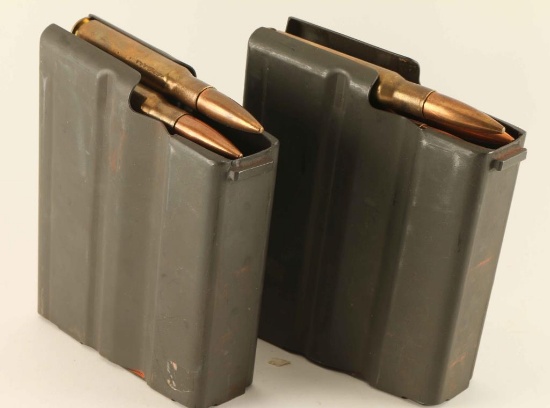 Lot of Two 50 Cal Mags