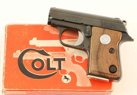 Colt Junior .25 ACP SN: 41900CC