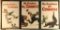 Lot of 3 Guinness Advertiser Posters