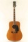 Dorado Acoustic Guitar