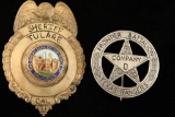 Collection of 2 Law Badges