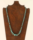 Turquoise & Shell Navajo Beaded Necklace