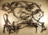 Large Lot of Horse Team Tack & Straps