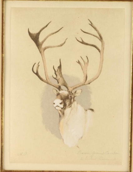 Fine Art Etching by Michael Coleman