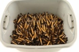 Lot of 308 Brass