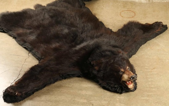 Bear Rug