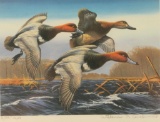 Duck Stamp Print