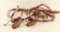 Modern Ladies Headstall & Spurs