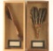 Collection of 2 Shadow Boxes