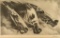 Print of Race Horses by Klorman