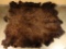 Buffalo Hide Rug